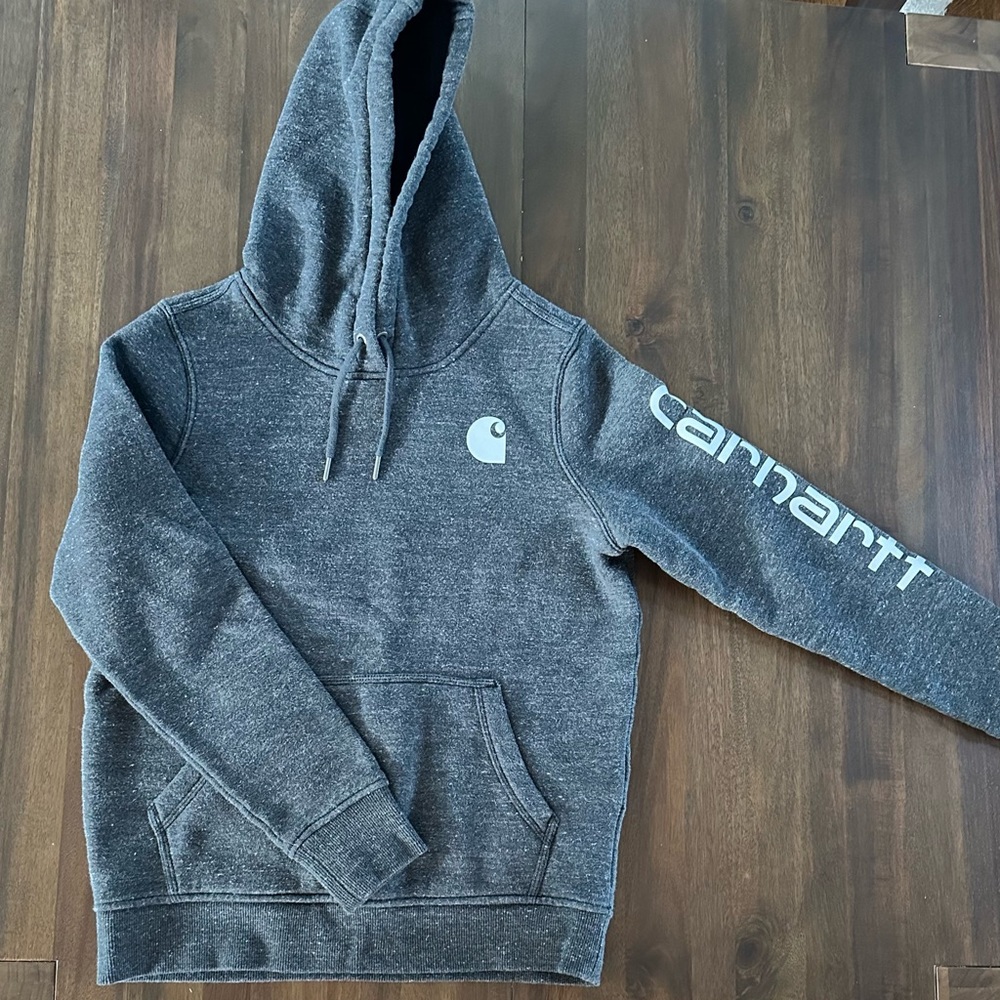CARHARTT WOMEN'S RELAXED FIT MIDWEIGHT LOGO SLEEVE GRAPHIC HOODIE